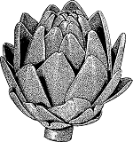 Okie Dokie Artichokie